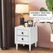 Costway 2 PCs Nightstand End Bedside Coffee Table Wooden Leg Storage Drawers White